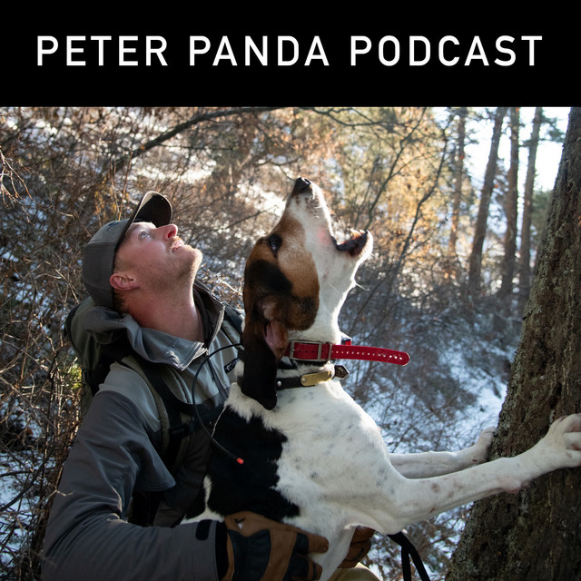Peter Panda Podcast | Podcast on Spotify