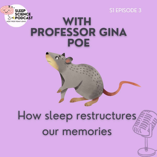 Episode 3: Gina Poe - How sleep restructures our memories and emotions ...