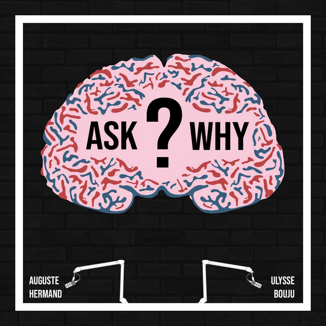 Ask Why | Podcast on Spotify