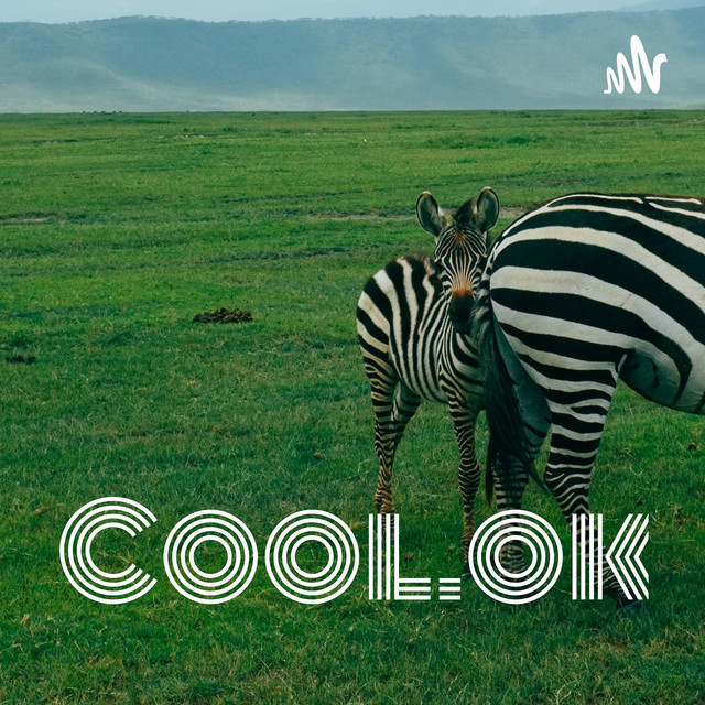 Cool.ok.pov | Podcast on Spotify