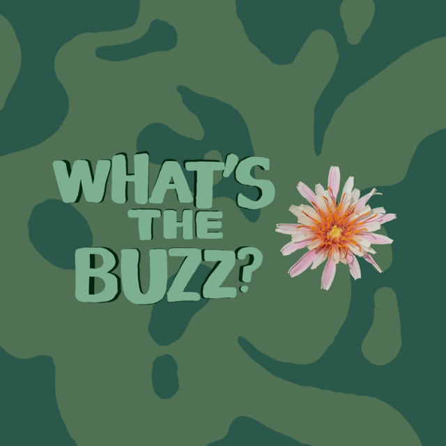 What's the Buzz? | Podcast on Spotify