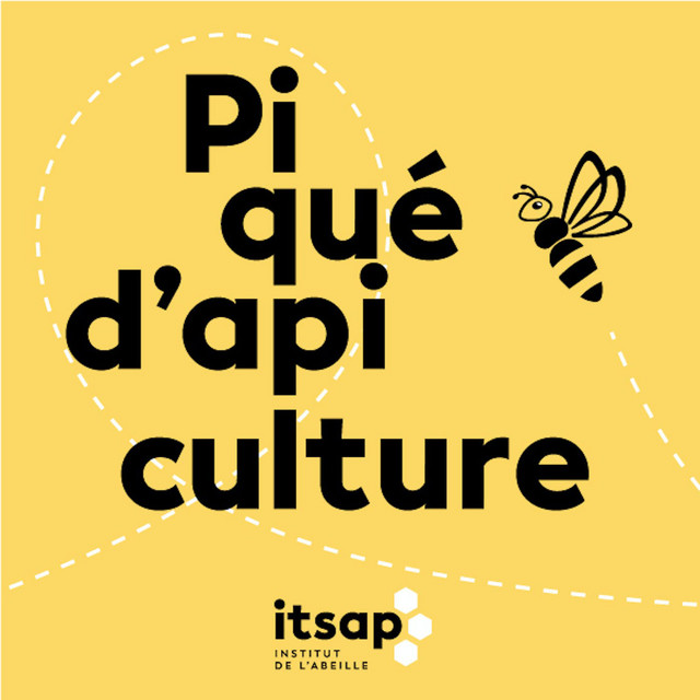 Piqué d'apiculture | Podcast on Spotify
