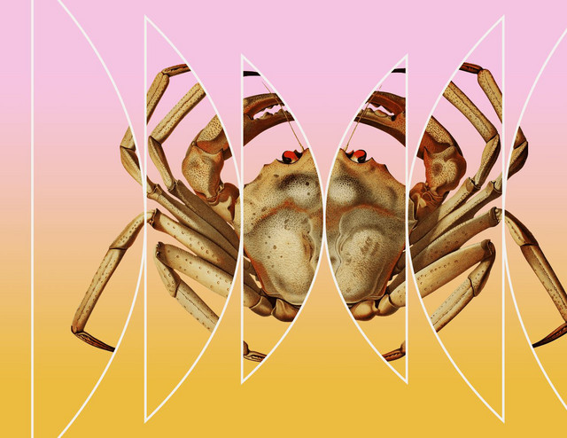 Crabs All the Way Down - Radiolab | Podcast on Spotify