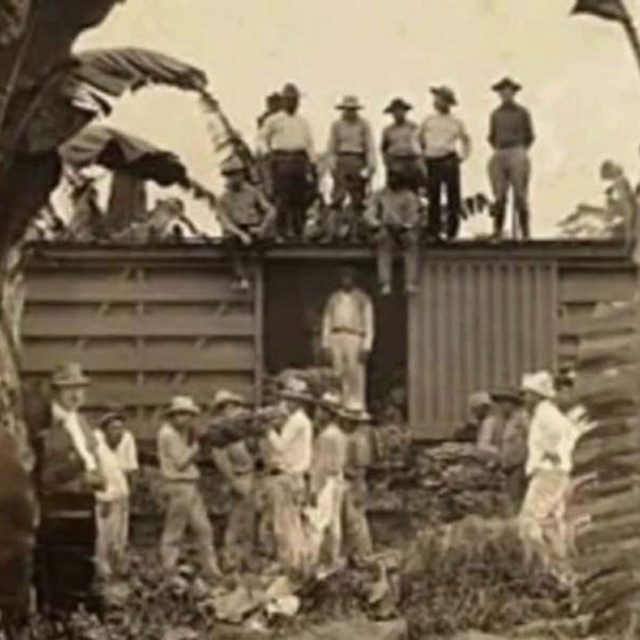 La Noche que Macondo dejó de ser un cuento: La masacre de las bananeras ...