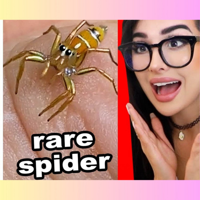 Cool Things You've Never Seen Before SSSniperWolf Podcast on Spotify