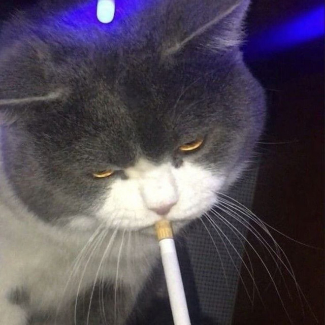 can you buy menthol cigarettes in minnesota Law Enforcement Ponders How to Enforce Menthol Cigarette Ban