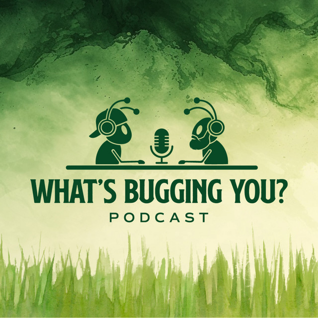 What's Bugging You? | Podcast on Spotify