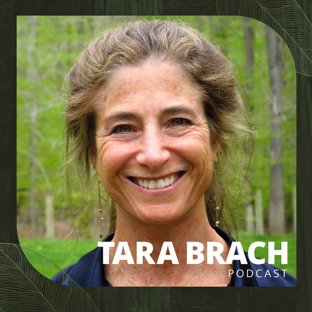 How to Find Your Present Moment Anchor: Tara Brach's Meditation Guide
