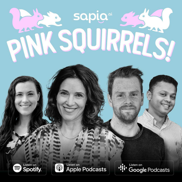 Spotify cover: Pink Squirrels!