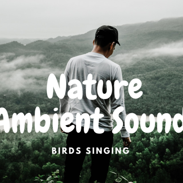 غناء الطيور في الطبيعة - صوت الطبيعة المحيط | Birds Singing - nature ambient sounds best of the best