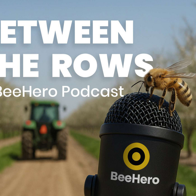 Between the Rows | Podcast on Spotify