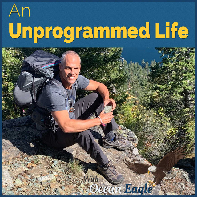An Unprogrammed Life | Podcast on Spotify