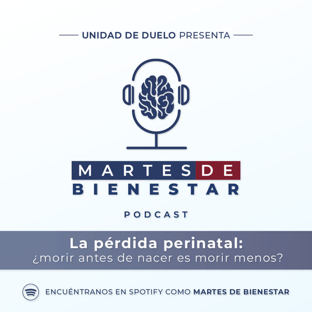 Portada de Unidad de Duelo Podcast