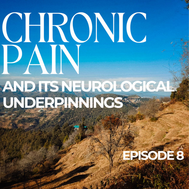 #8 Neuroscience 002 - Chronic Pain - The FLOW Podcast | Podcast on Spotify