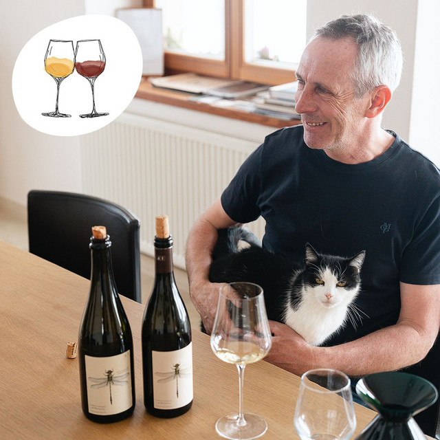 241 Andreas Tscheppe - Sauvignon Blanc Grüne Libelle 2016 - Wein