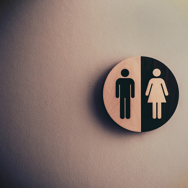 Political Representation: What Does it Mean for Women?