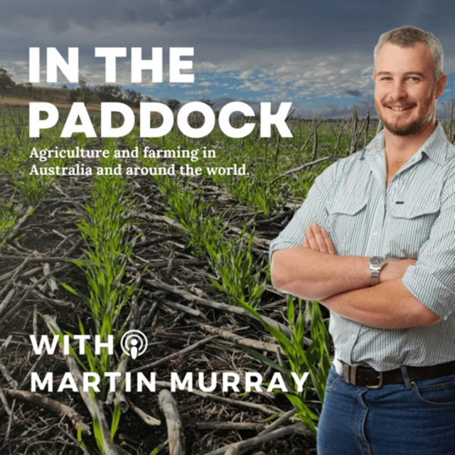 In The Paddock | Podcast on Spotify