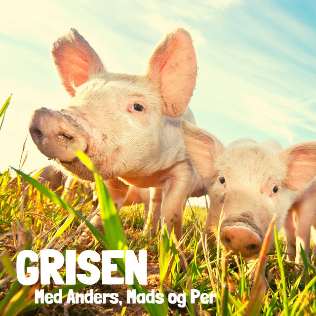 Grisen Episode 12 Hvad Betyder Ukraine konflikten 