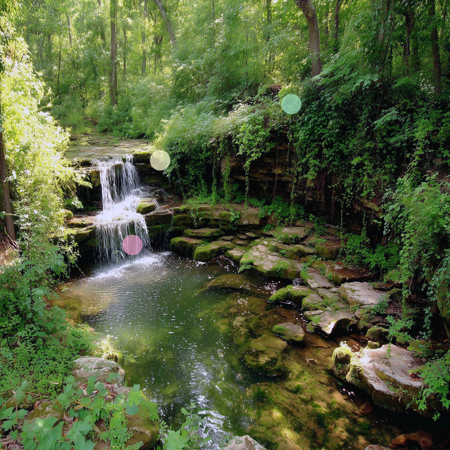 شلال منعزل | فجوة في الغابة