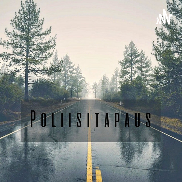 Poliisitapaus