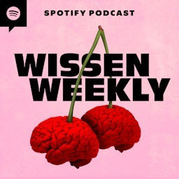 Sucht: Haben wir alle ein Alkoholproblem?