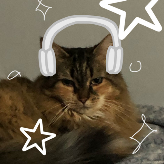 You called her a ho bc she said no Music You Prob Can’t Find