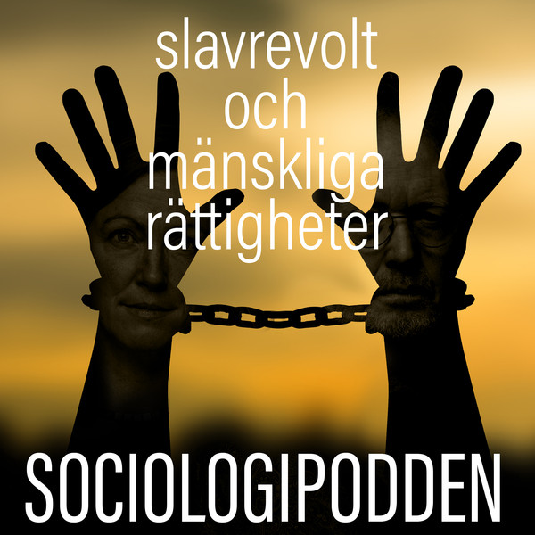 11. Slavrevolt och mänskliga rättigheter