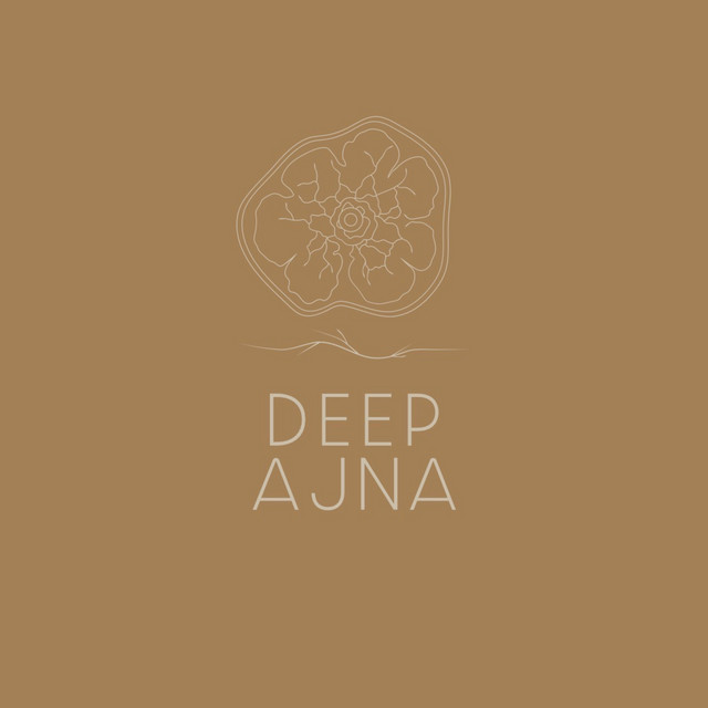 DeepAjna - Explorando la Consciencia 