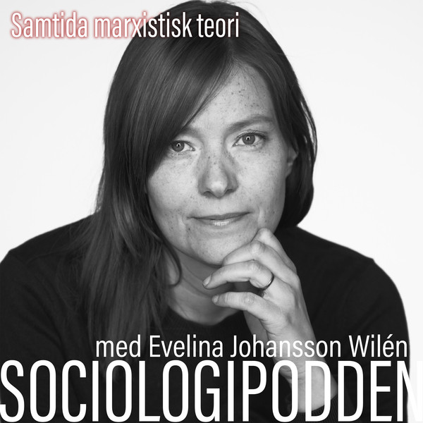 47. Samtida marxistisk teori