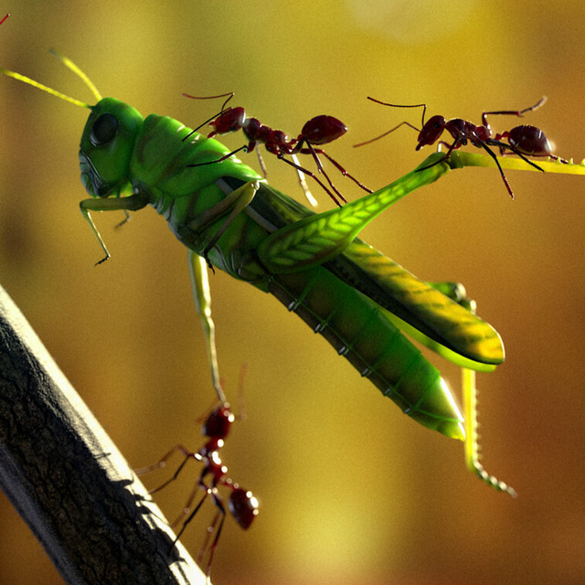 Exploring the SCP Foundation: Insect SCPs - The Exploring Series ...