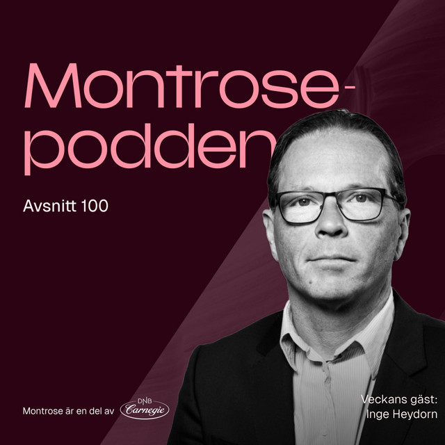 Nästan allt du behöver veta om AI-revolutionen med techförvaltaren Inge Heydorn
