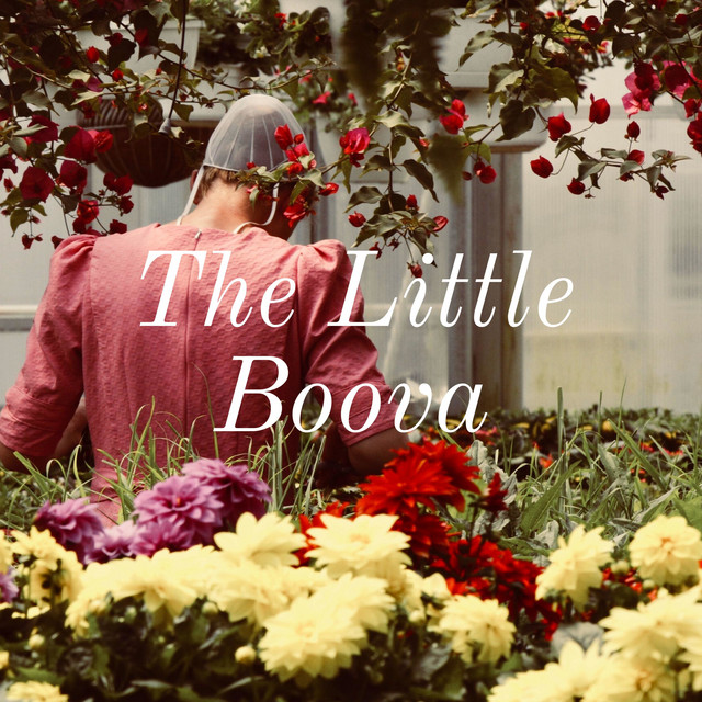 The Little Boova | Podcast on Spotify