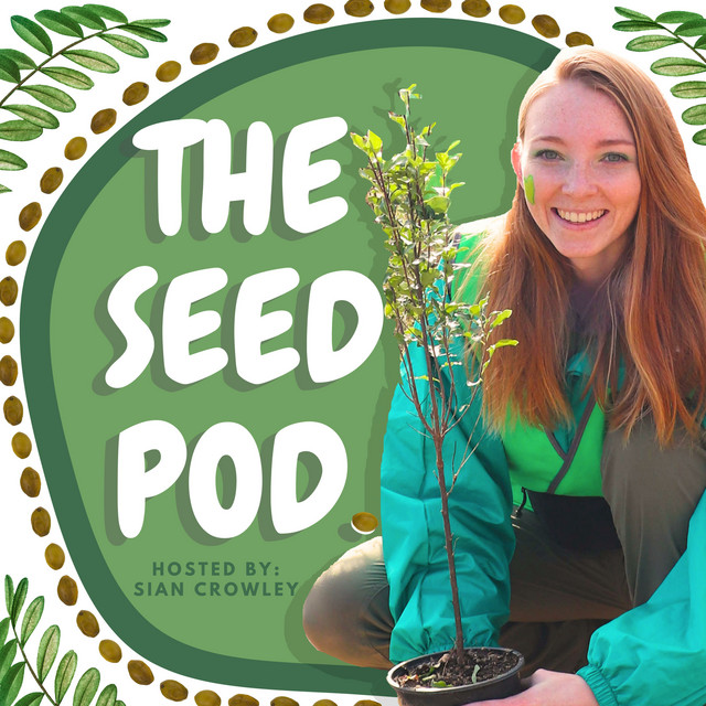 The Seed Pod. | Podcast on Spotify