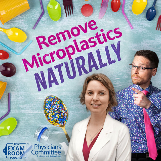 Best Ways To Remove Microplastics From Your System The Exam Room