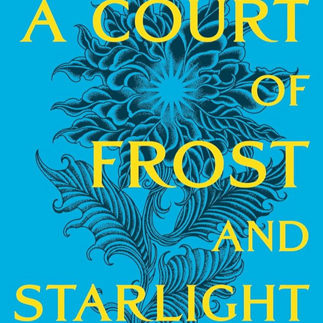 A Court of Frost and Starlight (Book 4) Chapter 1120