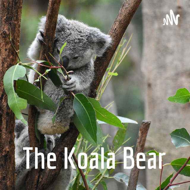 The Koala Bear Podcast On Spotify