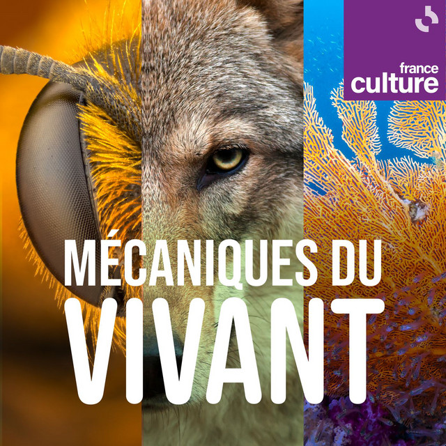 Mécaniques du vivant