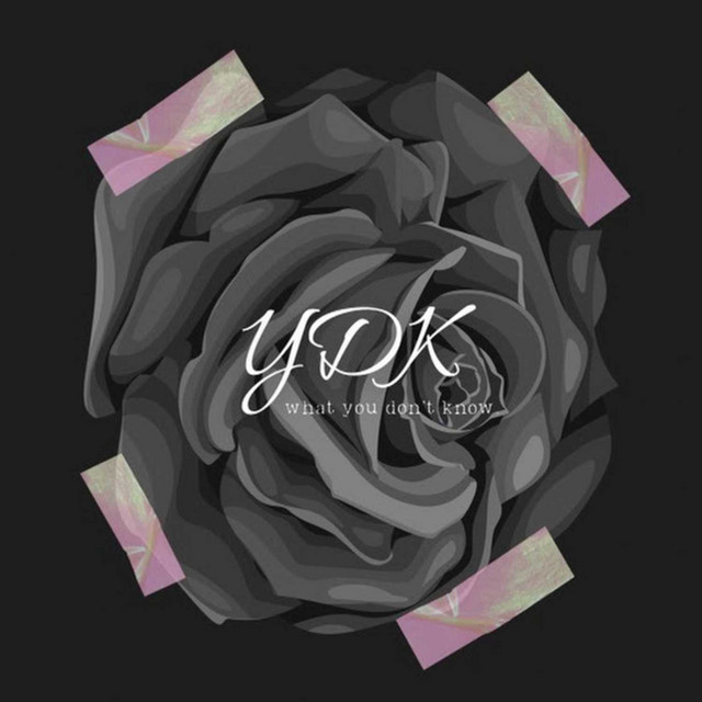 ydk podcast | Podcast on Spotify