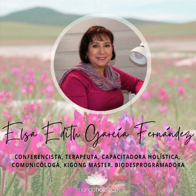Elsa Edith García Fernández, Terapeuta, Capacitadora Holística, Ki Gong ...