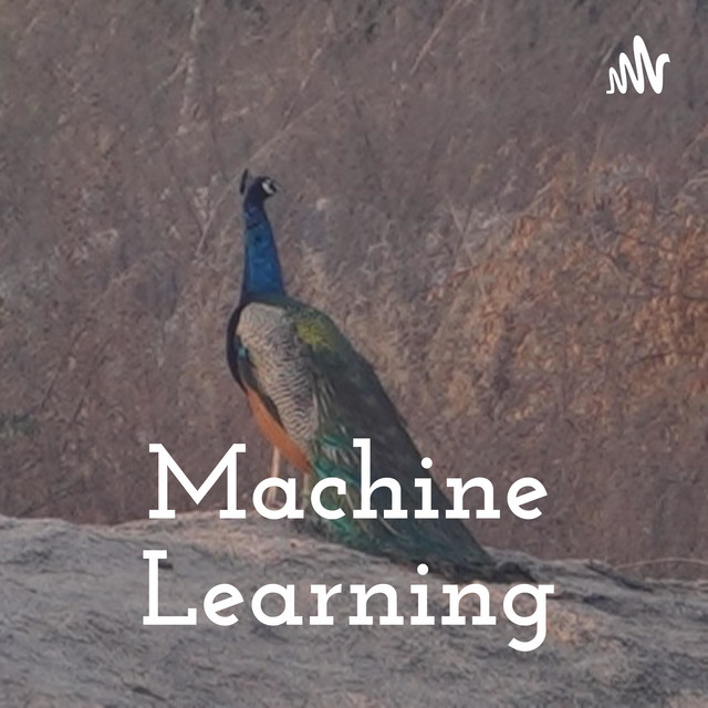 Machine Learning | Podcast on Spotify