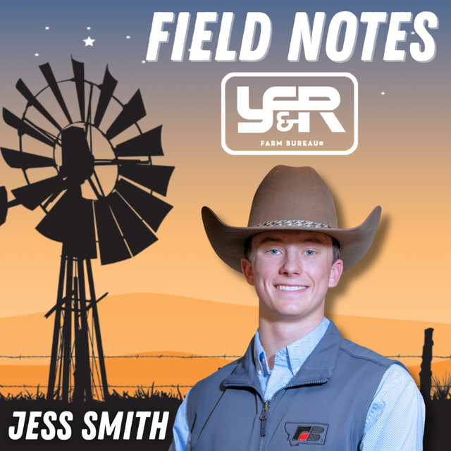 Jess Smith | Young Farmer & Rancher Field Notes - Montana Farm Bureau ...