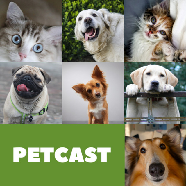 PETCAST | Podcast on Spotify
