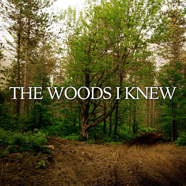 The Woods I knew | Podcast on Spotify