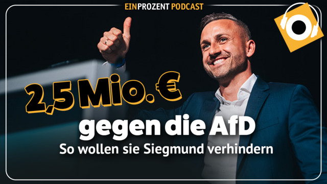 Geplante Sabotage der AfD-Erfolge – eine Gegenstrategie