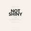 Not Shiny podcast