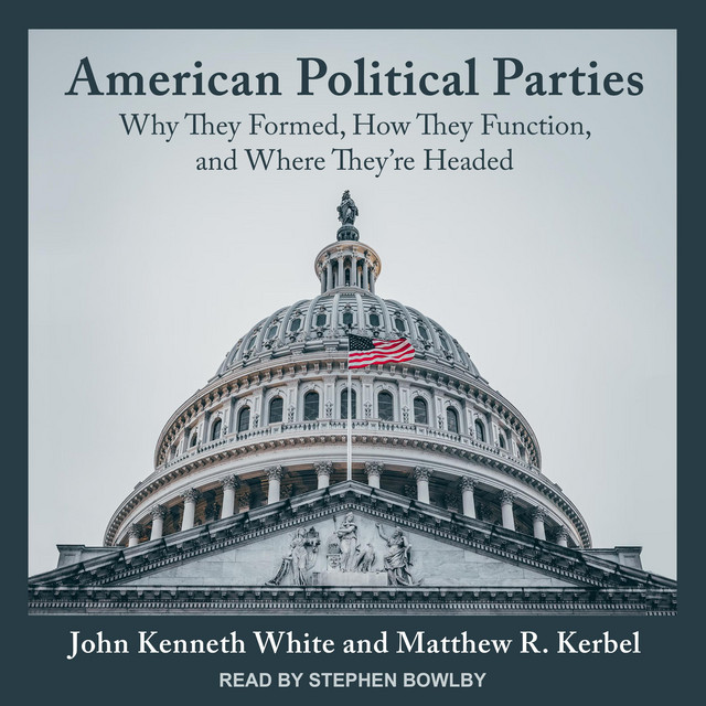 American Political Parties: Why They Formed, How They Function, and ...