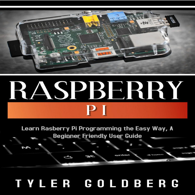 Raspberry PI: Learn Rasberry Pi Programming the Easy Way, A Beginner ...