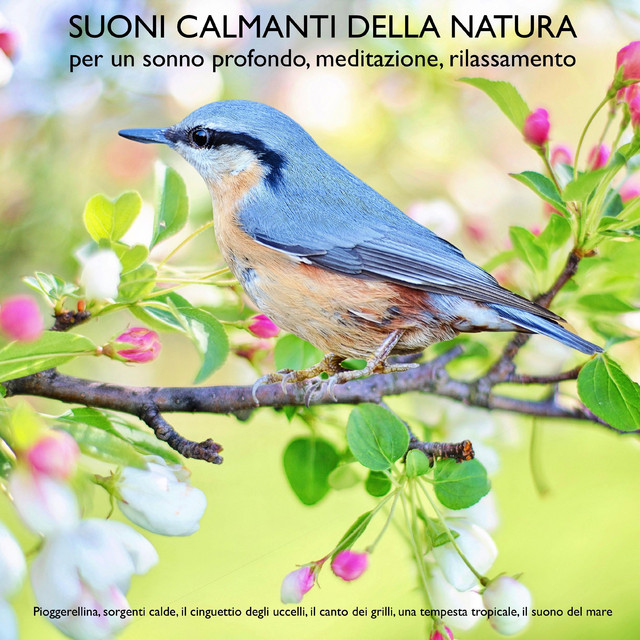 Koshi Carillon A Vento In Bambù – Suono Armonioso Am-Chord Per Meditazione, Con Corda Rossa, Decorazione Per Giardino E Regalo Per Amici