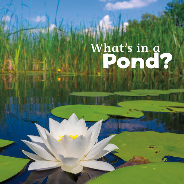 What's in a Pond? Audiobook on Spotify