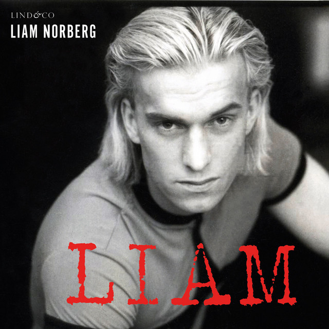 Liam | Audiobook on Spotify